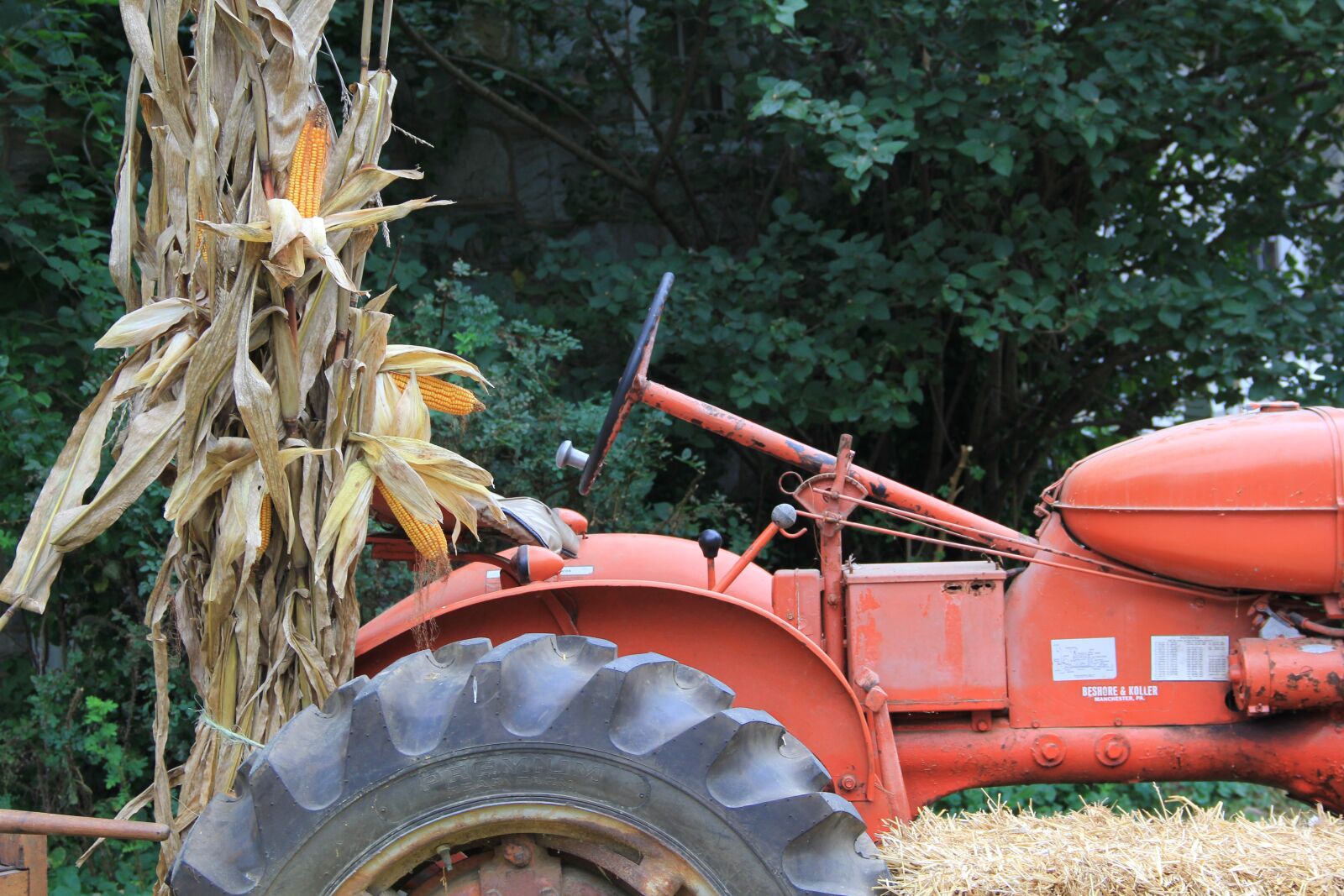 Canon EF-S 18-135mm F3.5-5.6 IS sample photo. Tractor, corn stalks, red photography