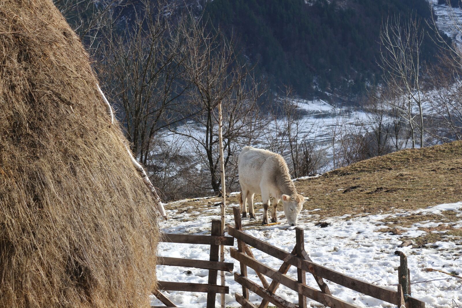 Canon EOS 650D (EOS Rebel T4i / EOS Kiss X6i) sample photo. Country, village, hills photography