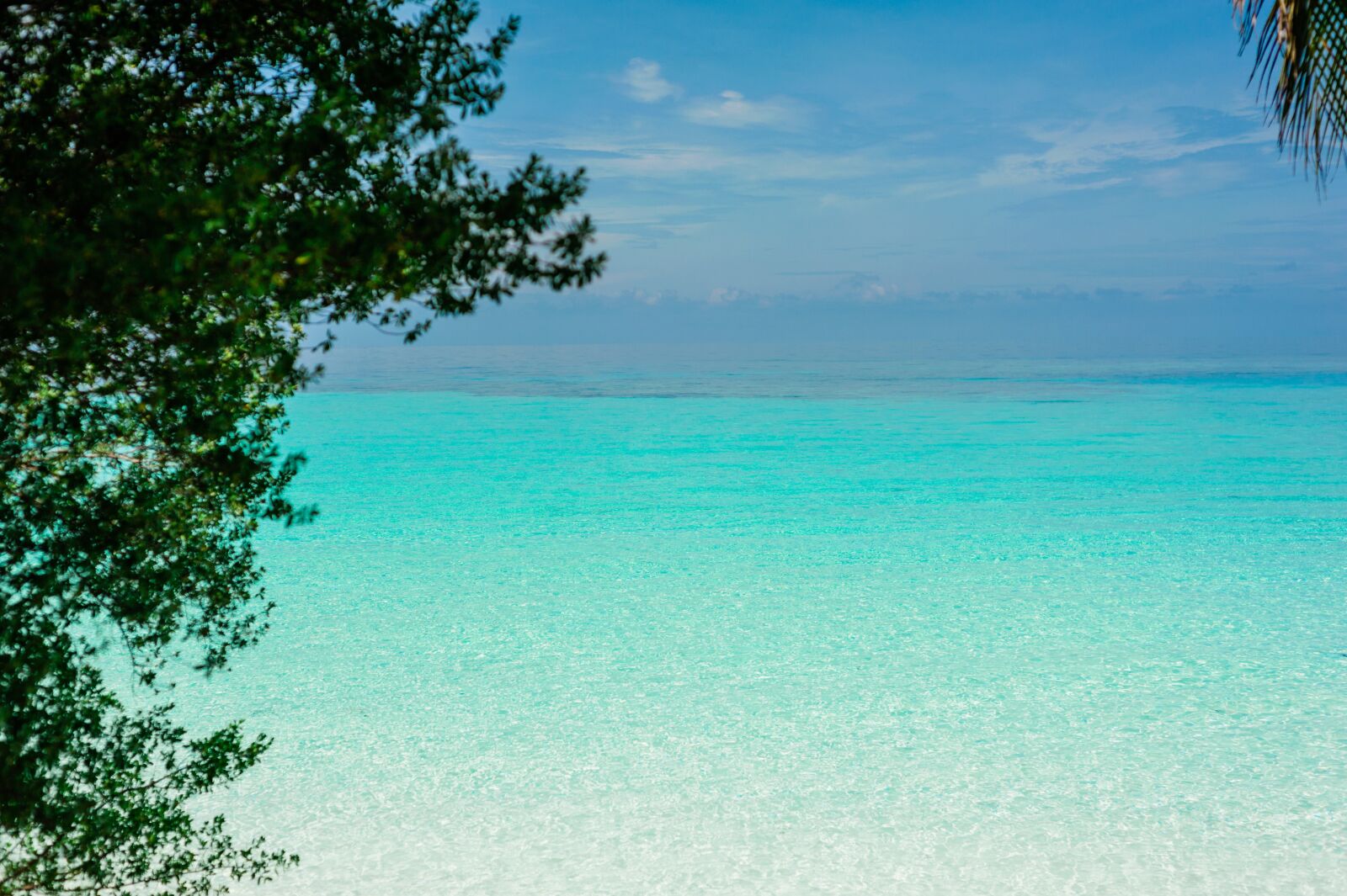 Nikon D700 sample photo. Sand, summer, turquoise photography