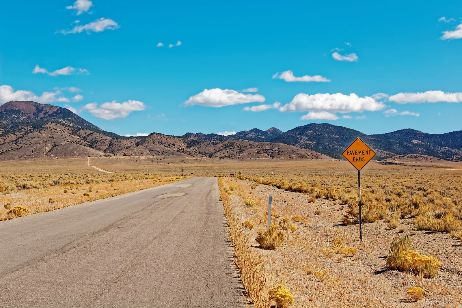 Nikon D50 sample photo. Allows, nevada, usa photography
