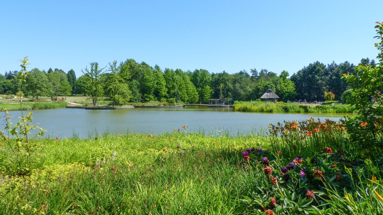 Panasonic Lumix DMC-FZ200 sample photo. Nature, waters, landscape photography