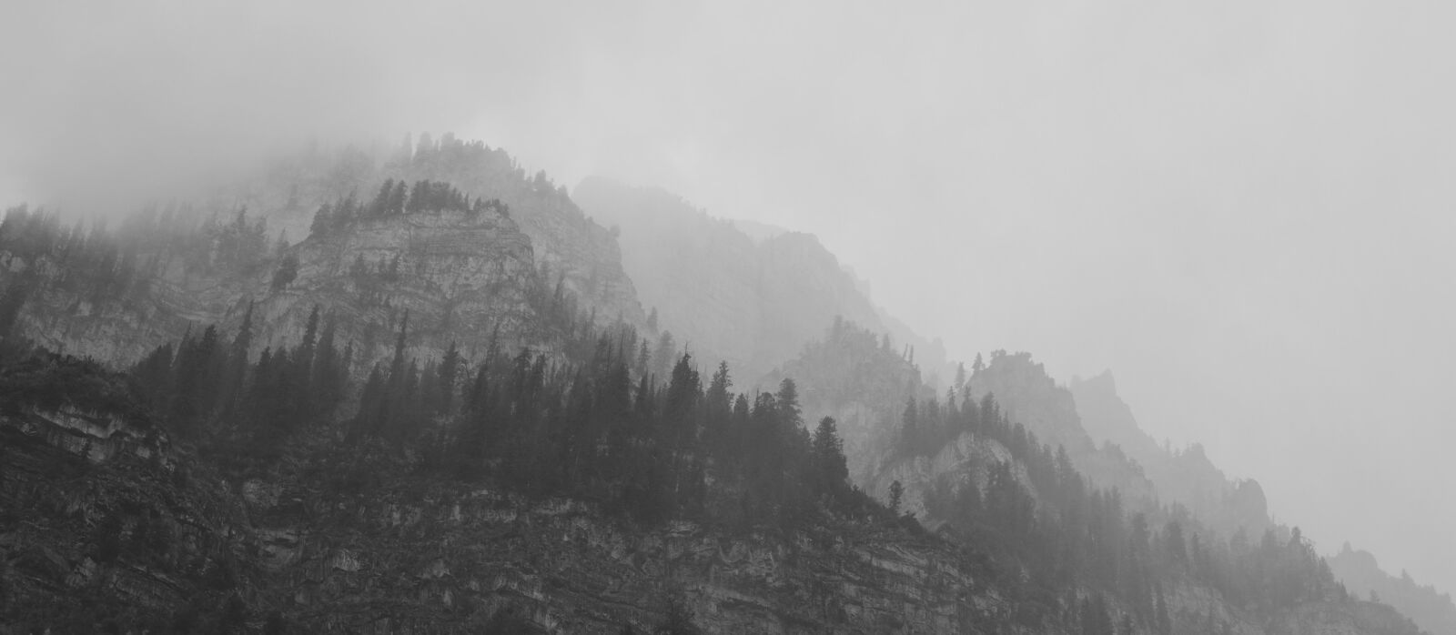 Nikon D3100 sample photo. Fog, mountains, trees photography