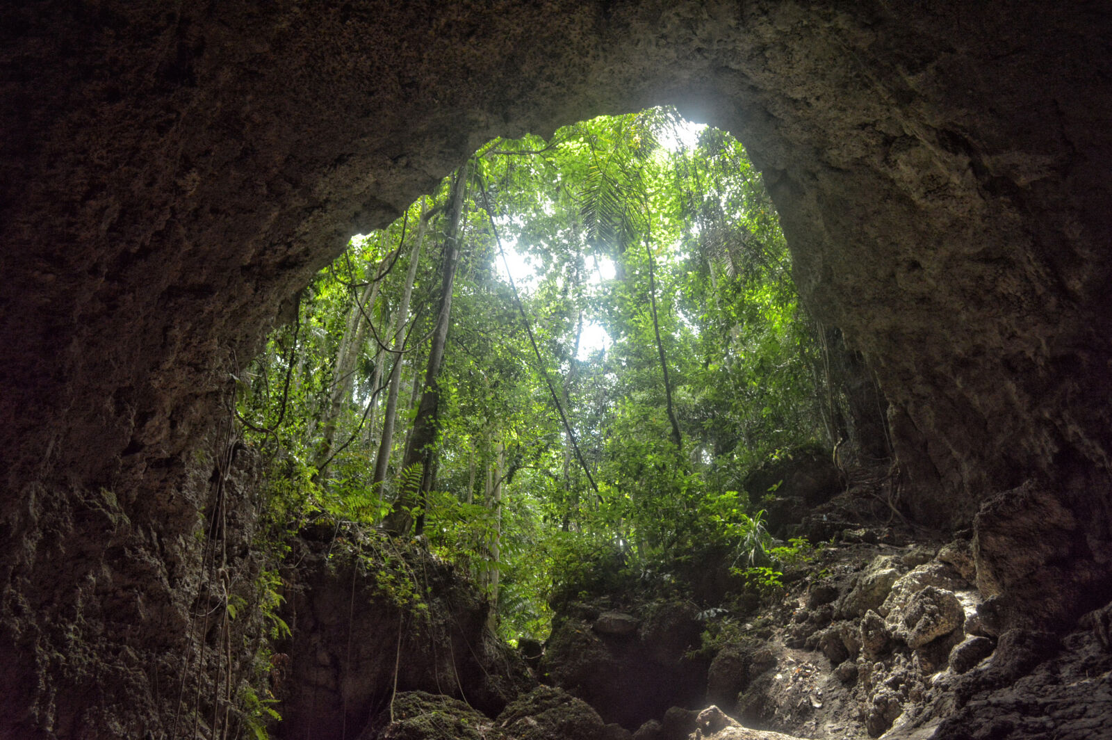 Nikon D3200 sample photo. Adventure, cave, caves, forest photography