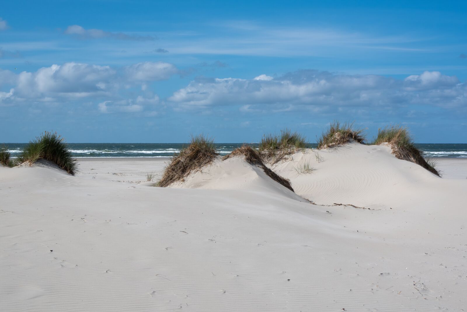 Nikon D750 sample photo. Beach, sea, summer photography