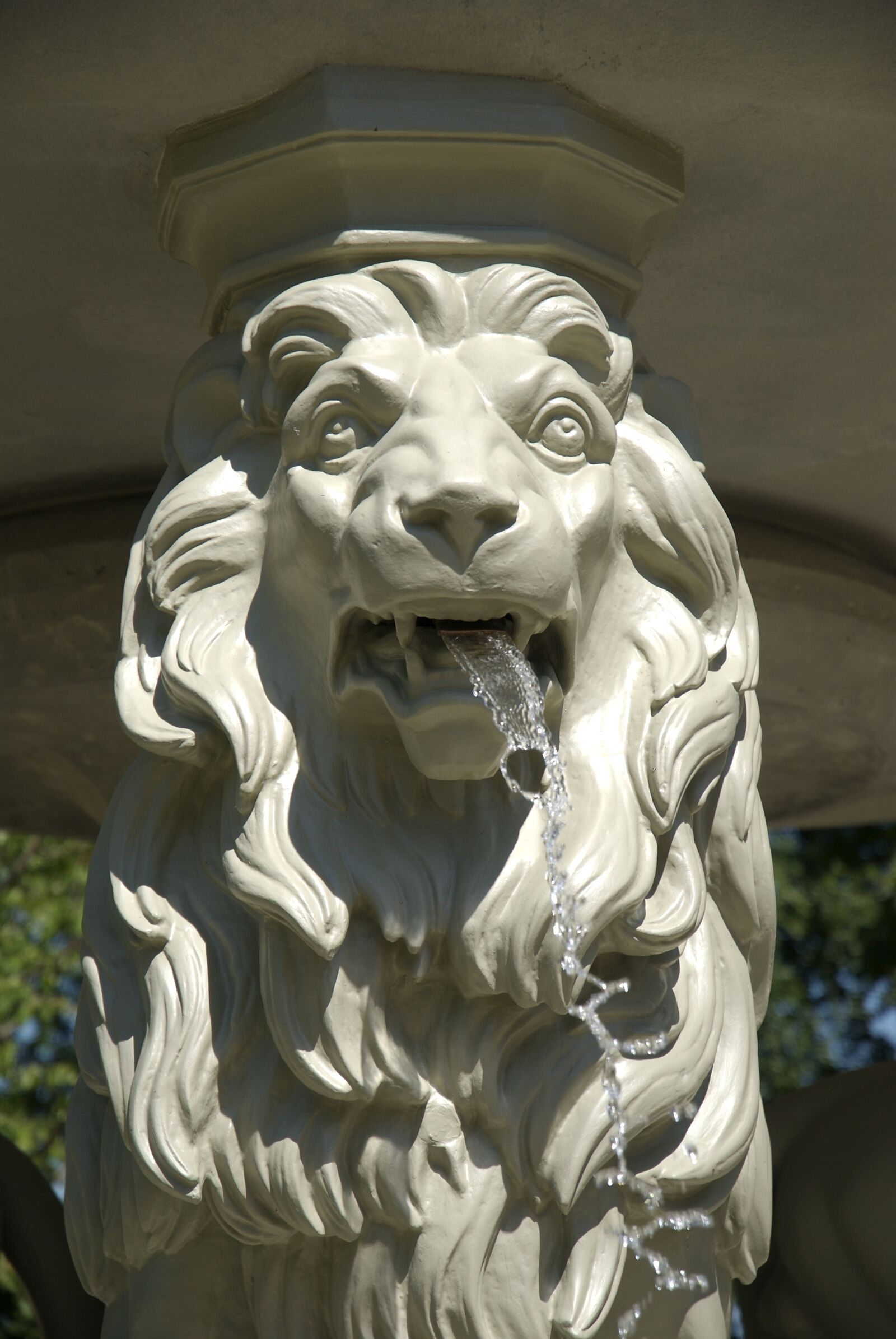 Nikon D200 sample photo. Fountain, lion, statue photography