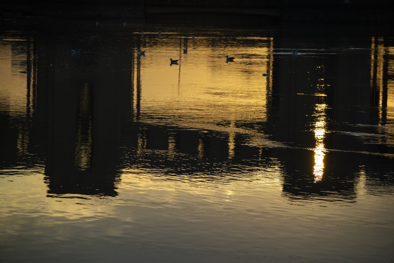 Canon EOS M3 sample photo. Tbilisi, river, g photography