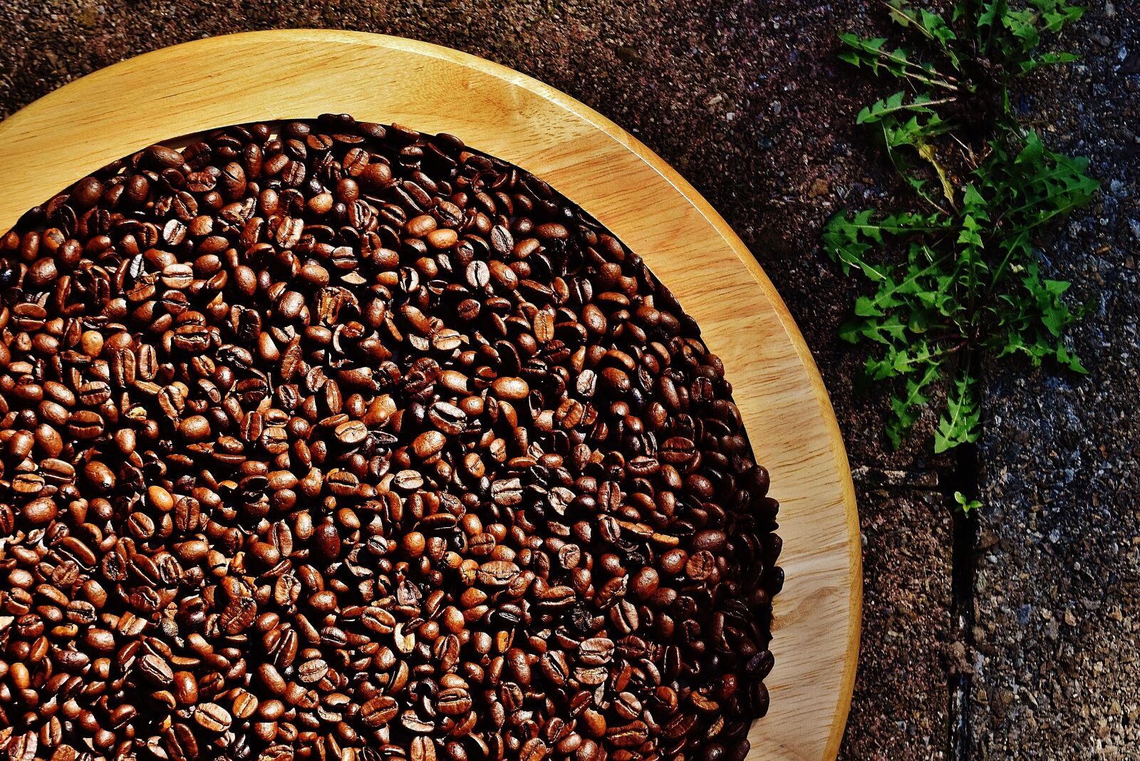 Nikon D7200 sample photo. Coffee, coffee beans, cafe photography
