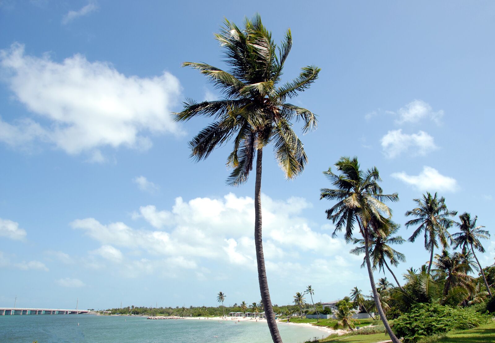 Nikon D200 sample photo. Bahia honda, state park photography