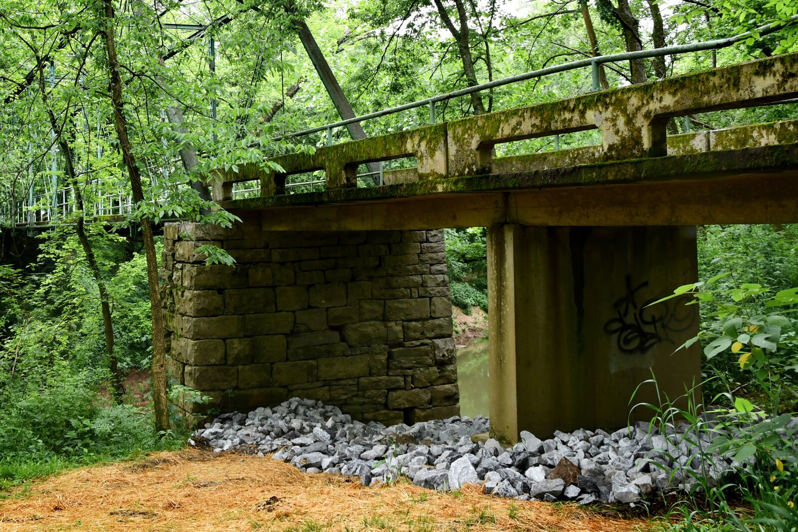 Nikon D7500 sample photo. Bridge, abandoned, graffiti photography