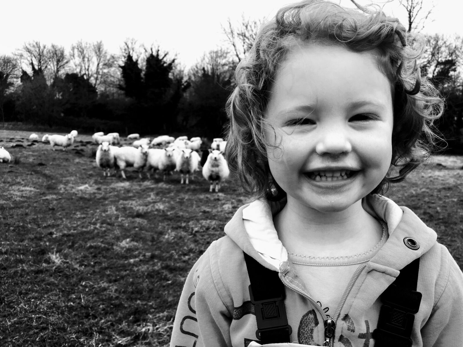 Apple iPhone 6 sample photo. Sheep, girl, country photography