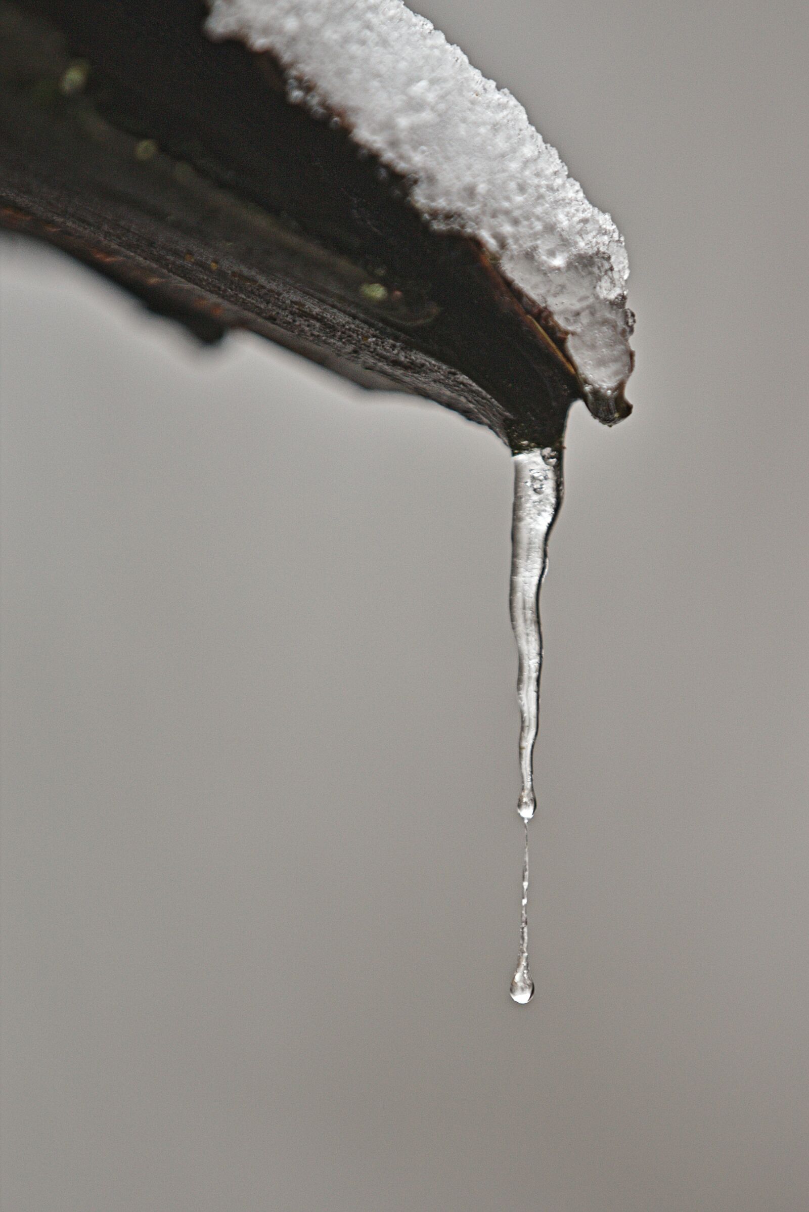 Canon EOS 6D sample photo. Winter, snow, ice photography
