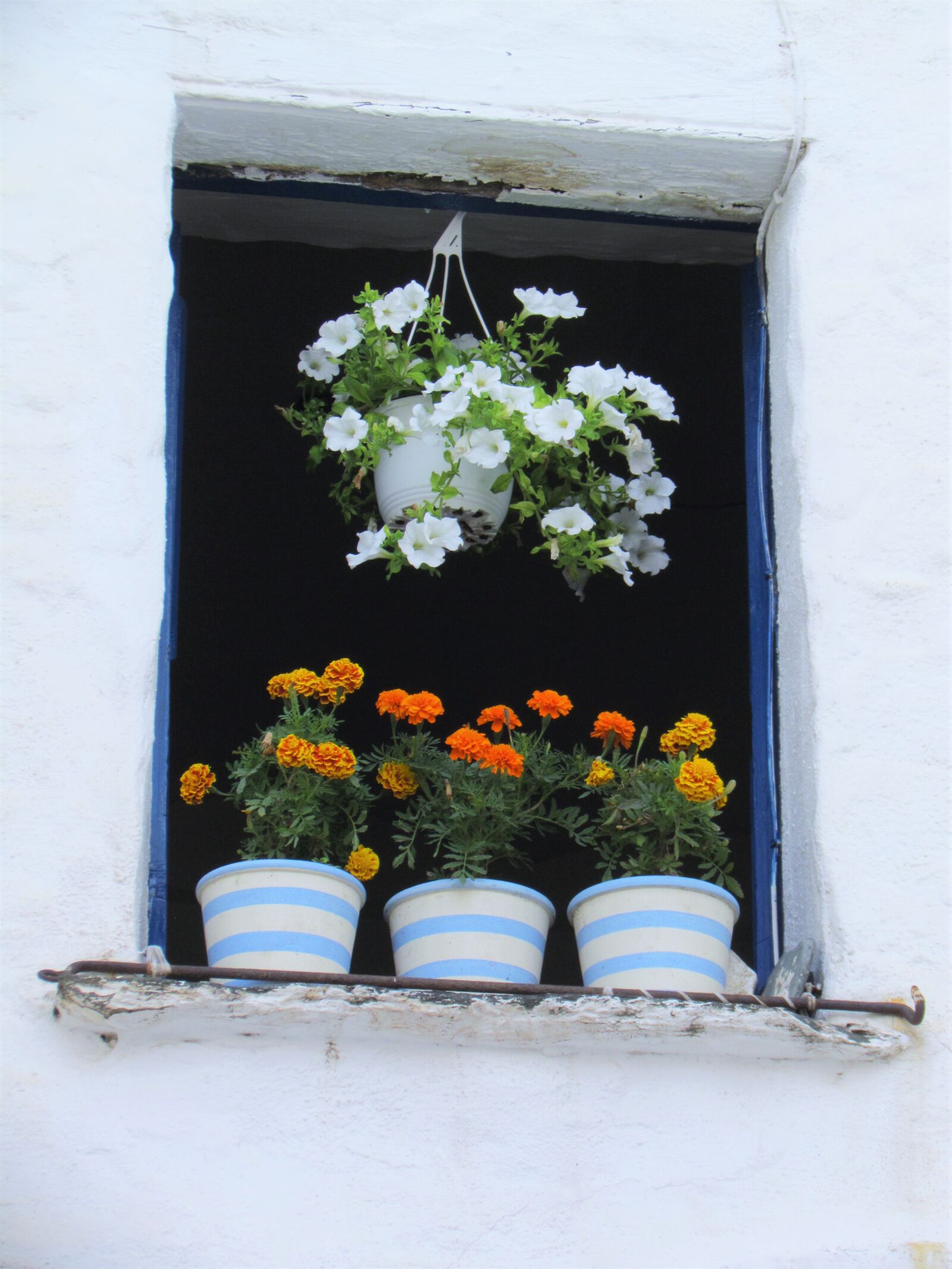 Canon PowerShot SX30 IS sample photo. Flowers, window, flowerpot photography