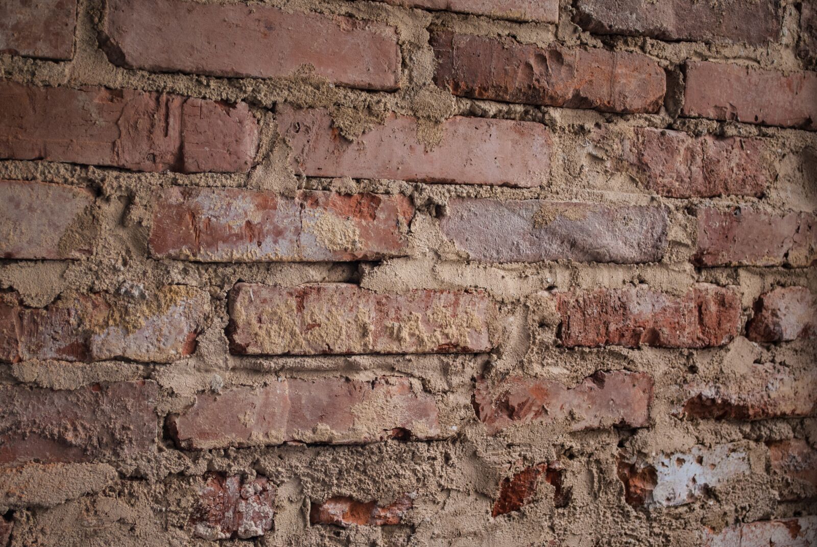 Nikon D60 sample photo. Wall, bricks, brick wall photography
