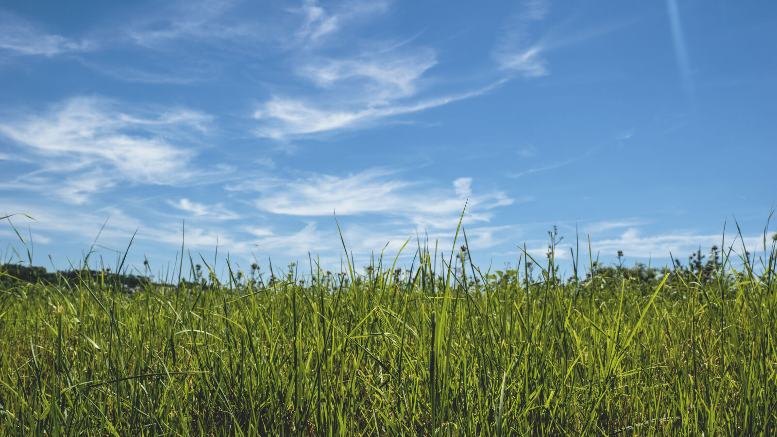 24-70mm F2.8-2.8 SSM sample photo. Blue, skies, clouds, field photography