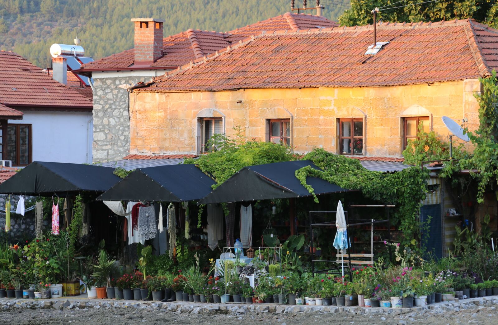 Canon EF 24-105mm F4L IS USM sample photo. Village house, natural, life photography