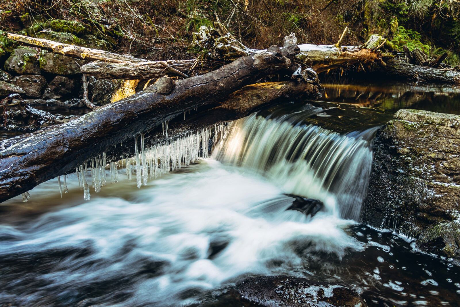 Nikon D750 sample photo. Water, cold, winter photography