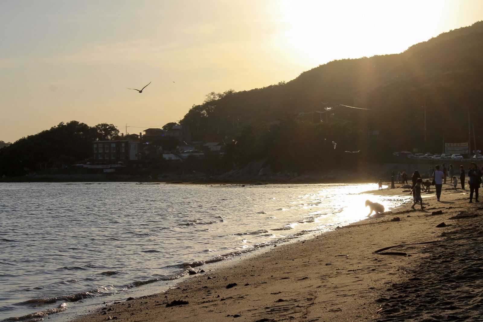 Canon EOS 1100D (EOS Rebel T3 / EOS Kiss X50) sample photo. Korean, ocean, japanese photography