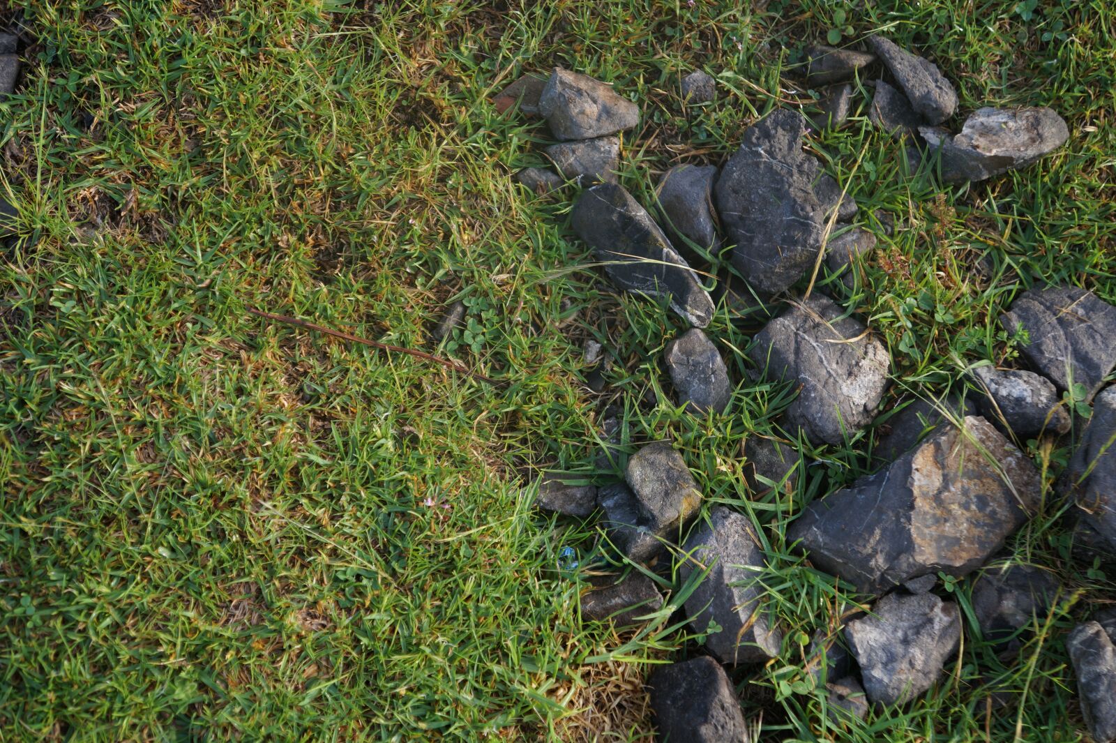 Sony Alpha a3000 + Sony E 18-55mm F3.5-5.6 OSS sample photo. Pebbles, stones, soil photography