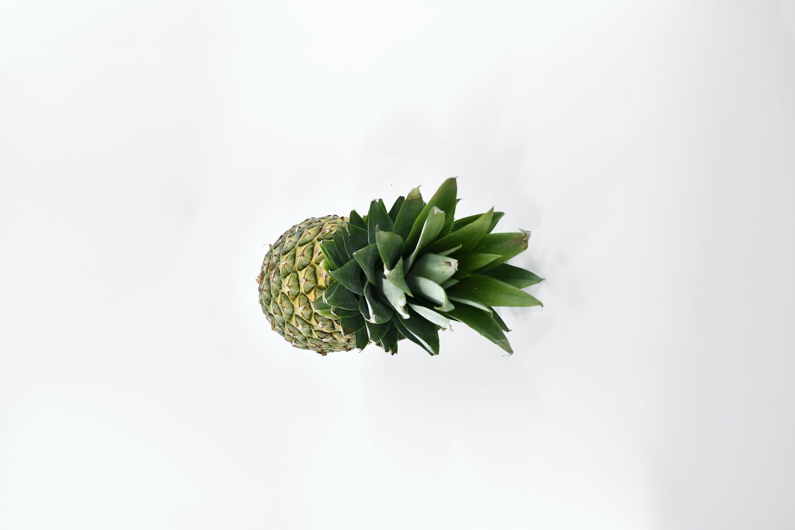 Nikon D5500 sample photo. Antioxidant, fruit, organic, pineapple photography