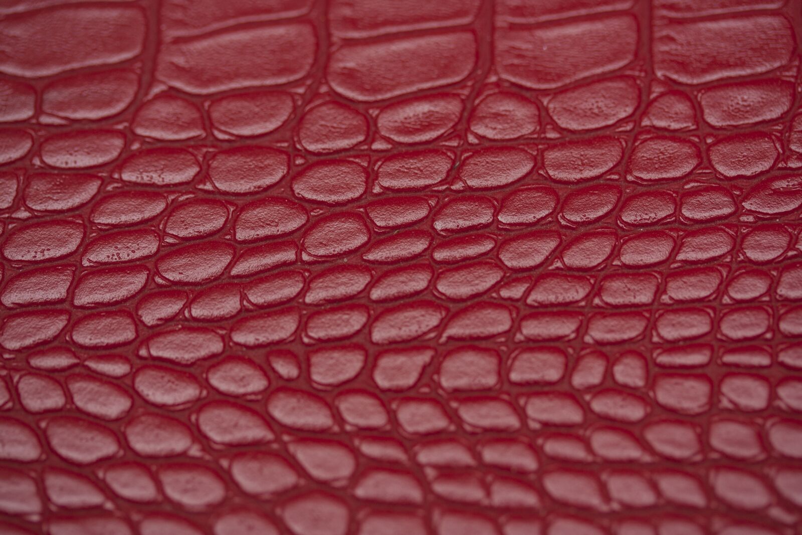 Canon EOS 40D + Canon EF-S 60mm F2.8 Macro USM sample photo. Skin, texture, red photography