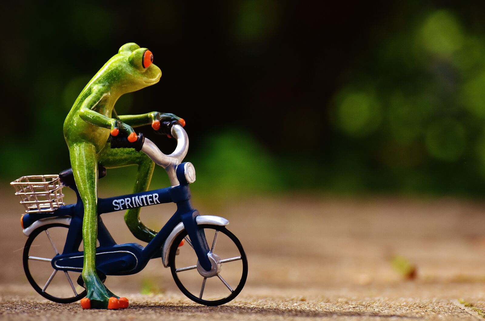 Nikon D7200 sample photo. Frog, bike, funny photography