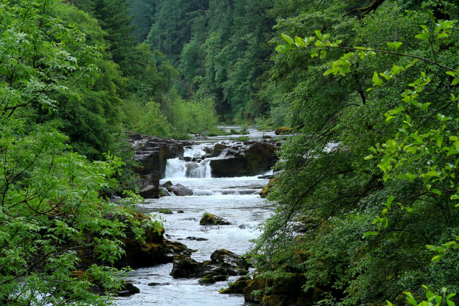 Canon EOS 7D sample photo. Oregon, water, landscape photography