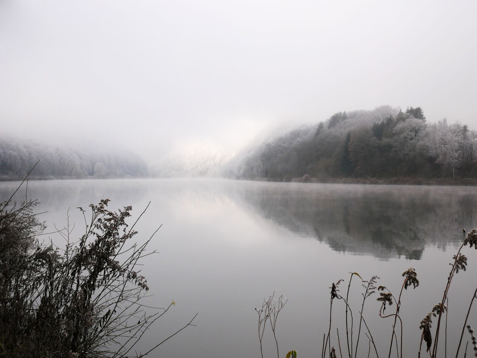 Panasonic Lumix DMC-GX85 (Lumix DMC-GX80 / Lumix DMC-GX7 Mark II) sample photo. River, saar, winter photography