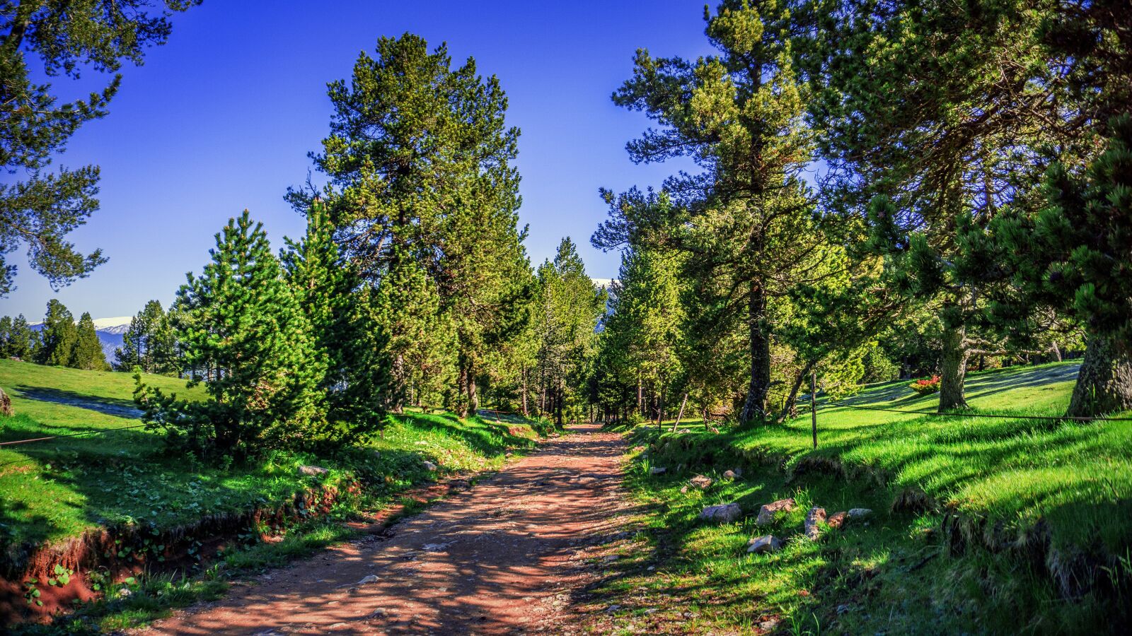 Sony E 16-50mm F3.5-5.6 PZ OSS sample photo. Trail, path, mountains photography