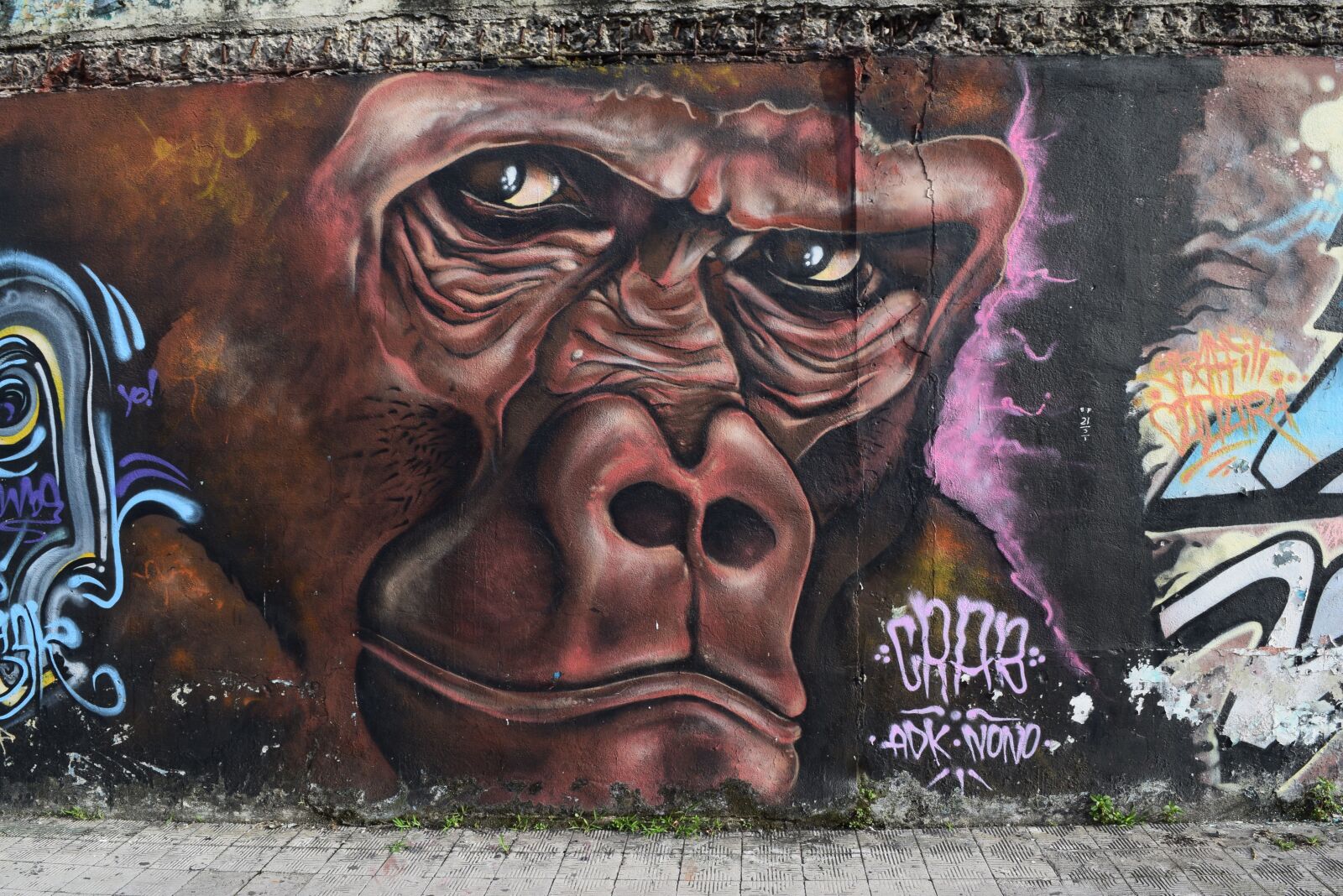 Nikon D5300 sample photo. Graffiti, art, street photography