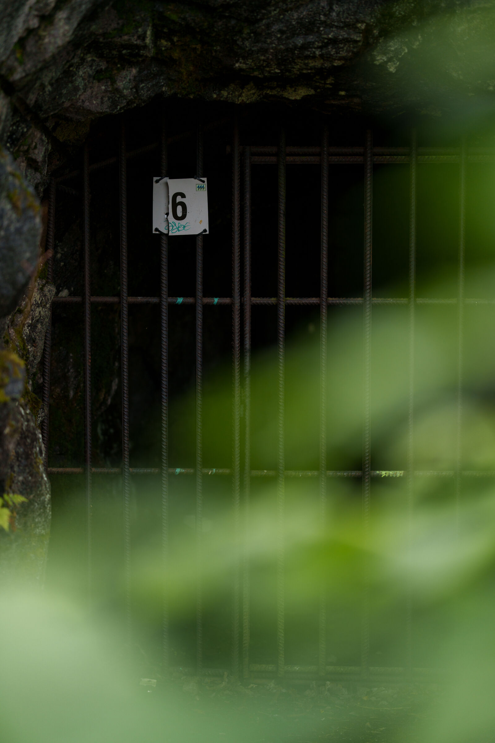 Sony FE 85mm F1.4 GM II sample photo. Number six photography