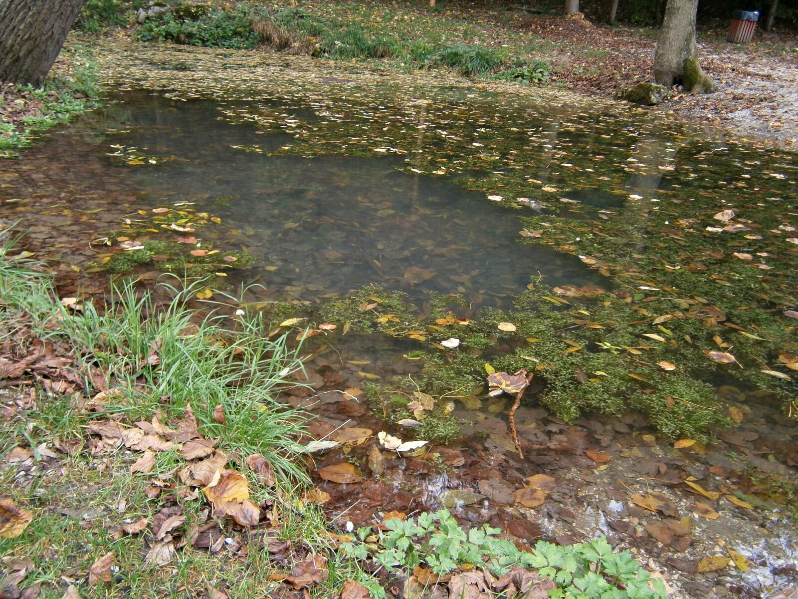 Olympus VG120,D705 sample photo. Landscape, nature, lake photography