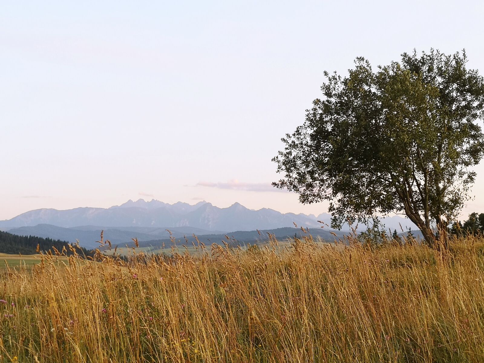 HUAWEI P20 sample photo. Mountains, meadow, landscape photography