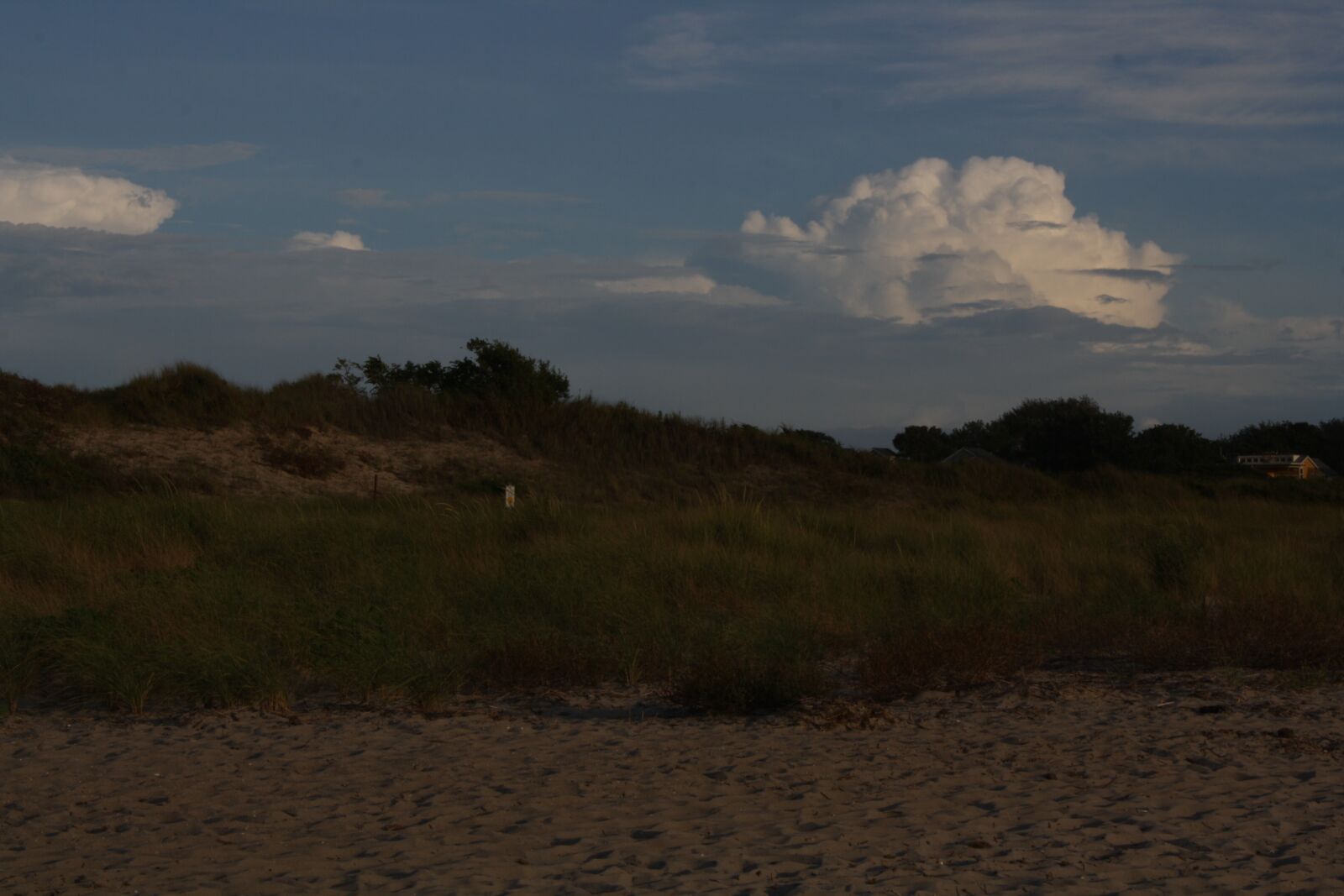 Canon EOS 1000D (EOS Digital Rebel XS / EOS Kiss F) sample photo. Dune, beach, sky photography