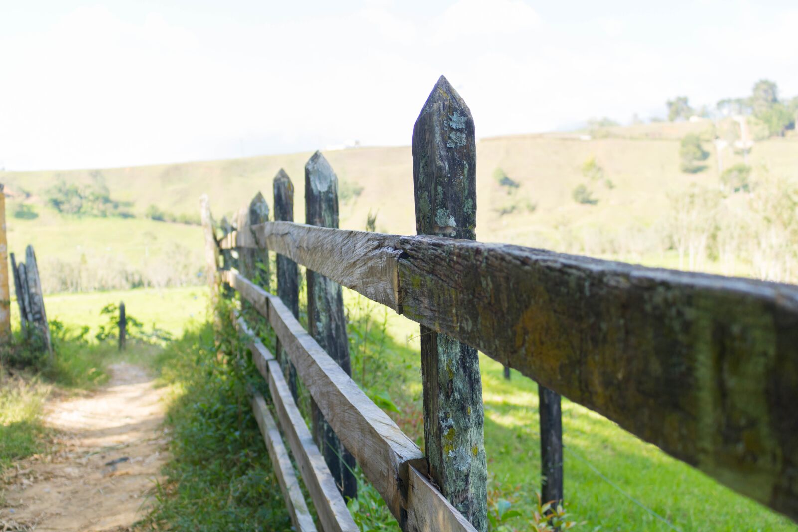 Canon EOS 750D (EOS Rebel T6i / EOS Kiss X8i) sample photo. Wood, braces, posts photography