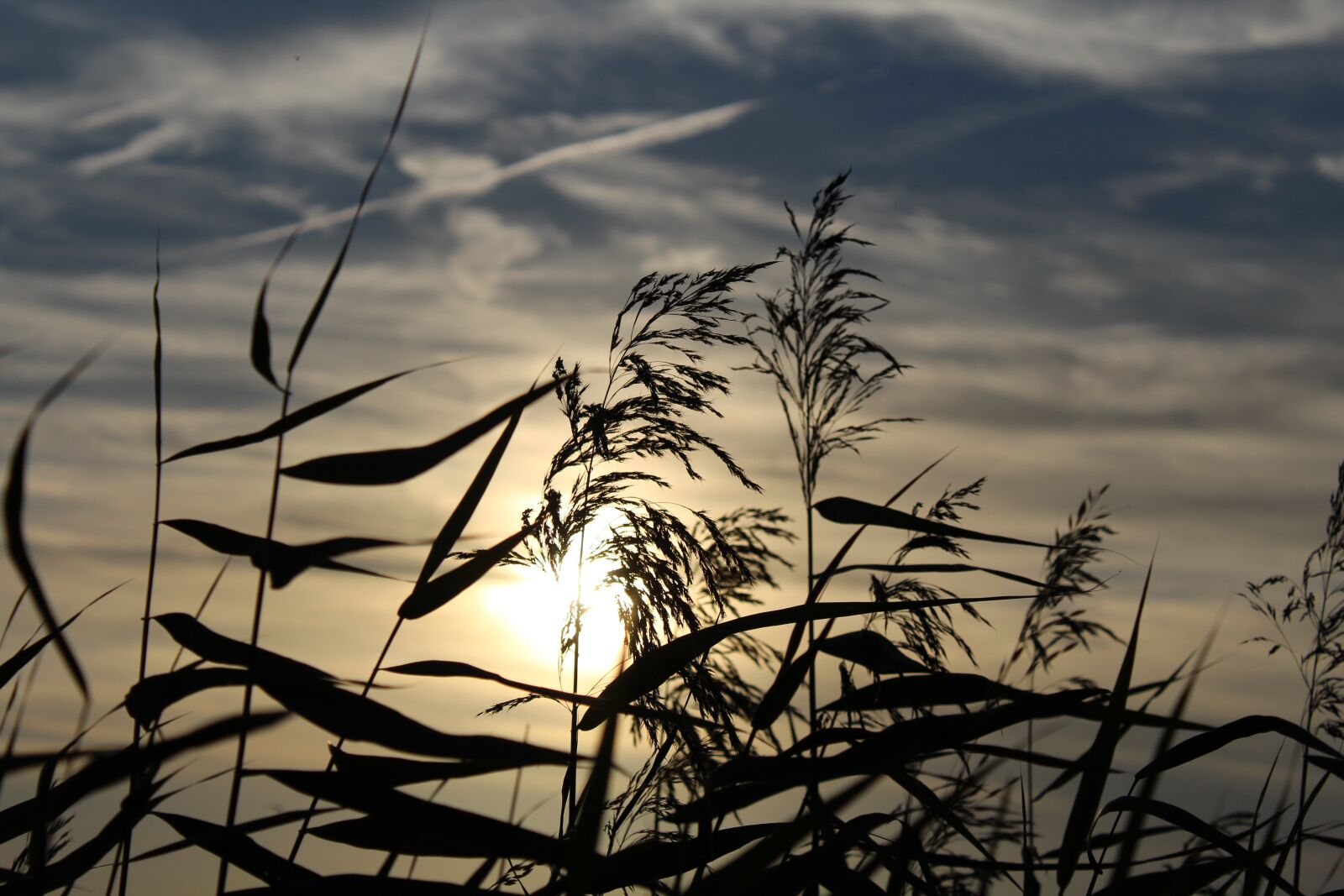 Canon EOS 1200D (EOS Rebel T5 / EOS Kiss X70 / EOS Hi) sample photo. Sunset, sky, clouds photography