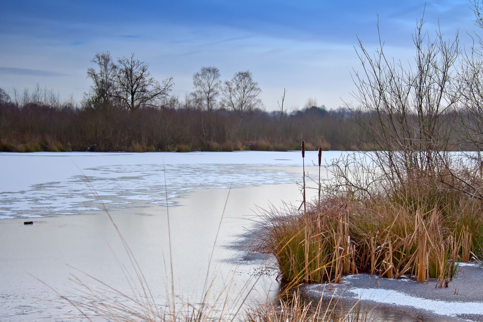 Canon EOS 50D + Canon EF 24-105mm F4L IS USM sample photo. Winter, ice, lake photography