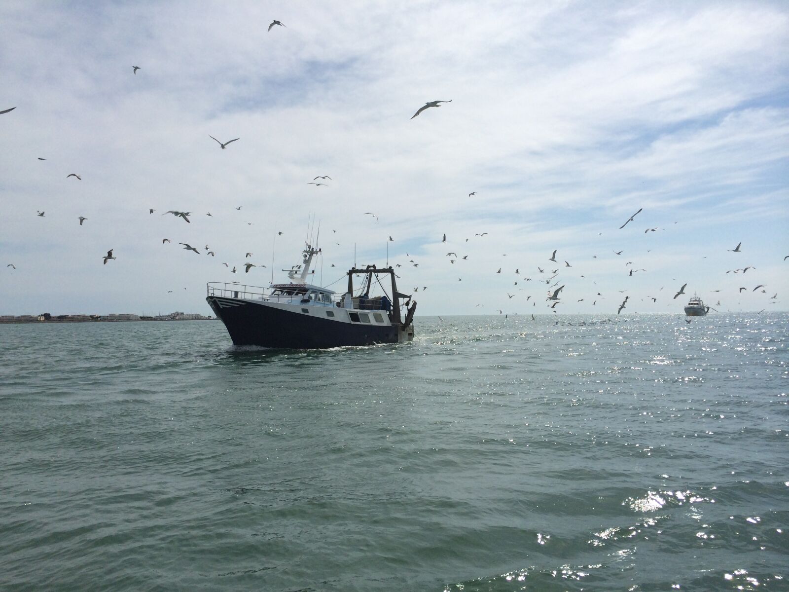 iPhone 5s back camera 4.12mm f/2.2 sample photo. Boat, traditional fishing, seagulls photography