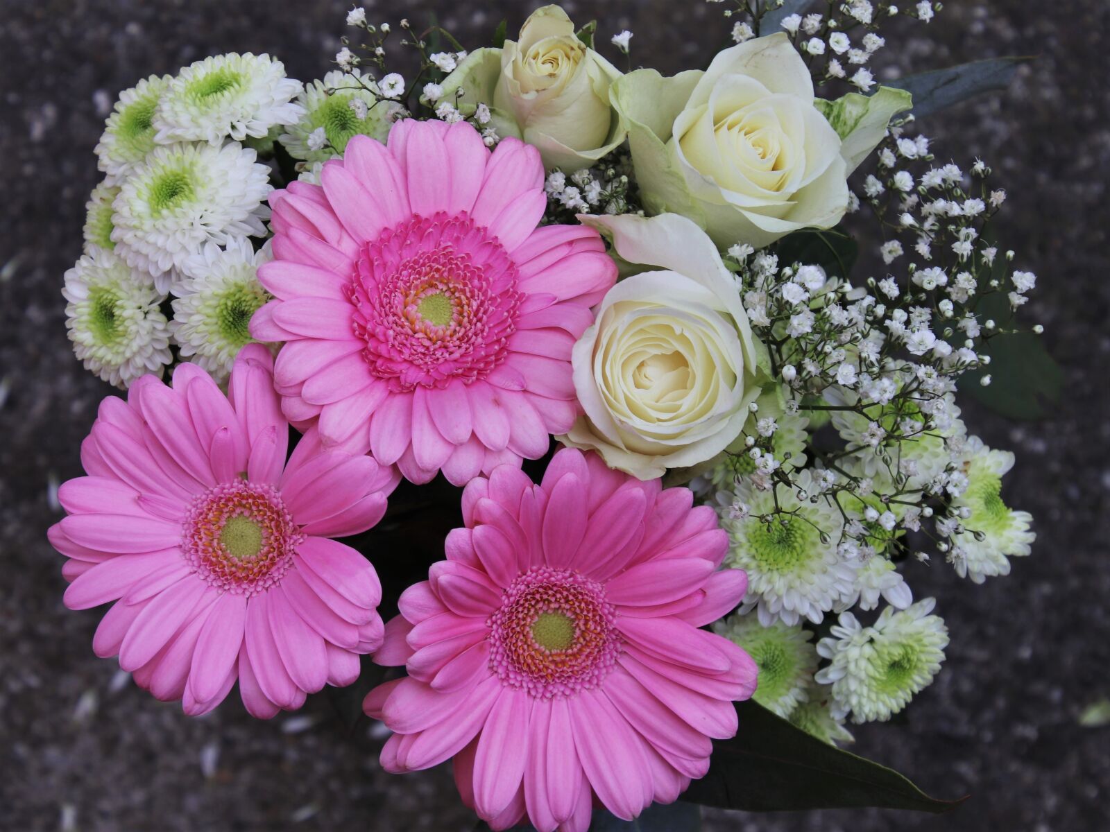 Canon EOS 80D sample photo. Pink, gerberas, roses photography