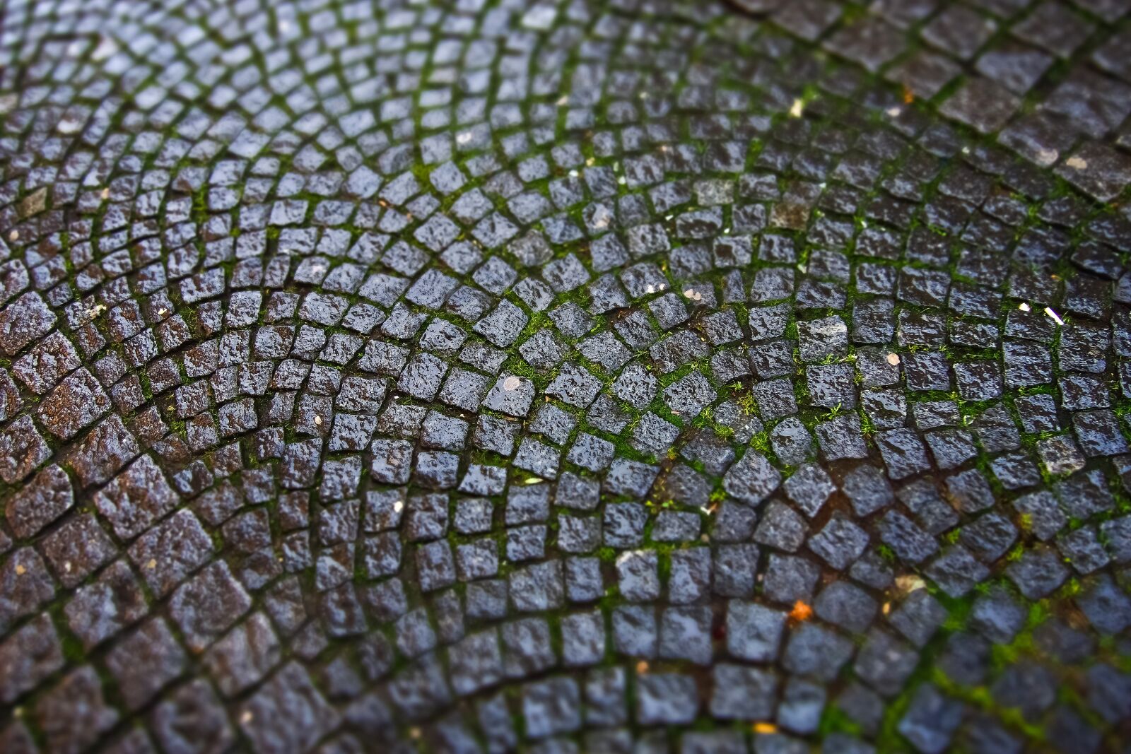 Olympus OM-D E-M10 sample photo. Road, cobblestones, paving stones photography