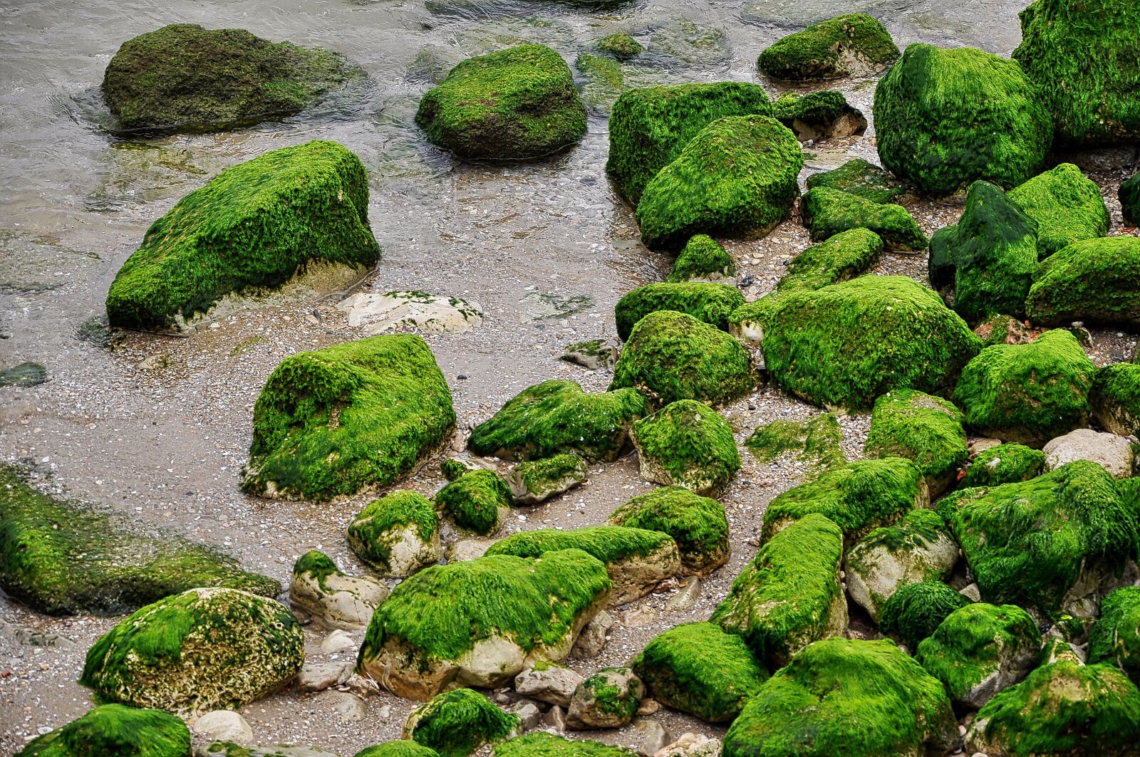 Nikon D5000 sample photo. Jaffa, israel, rocks photography