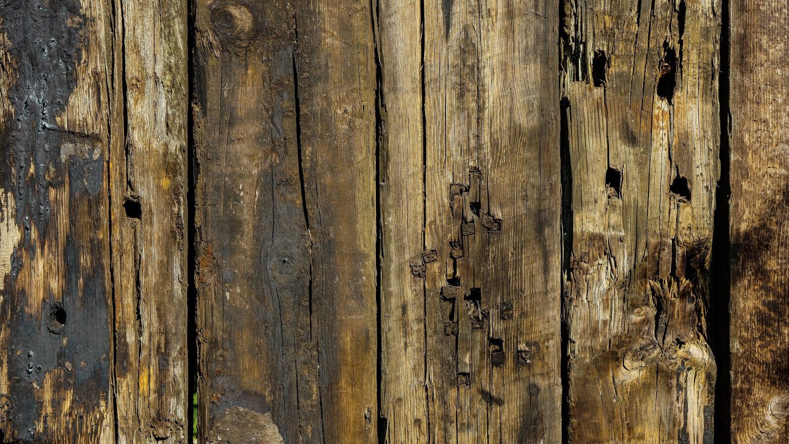 E 50mm F1.8 OSS sample photo. Wood, planks, wallpaper photography
