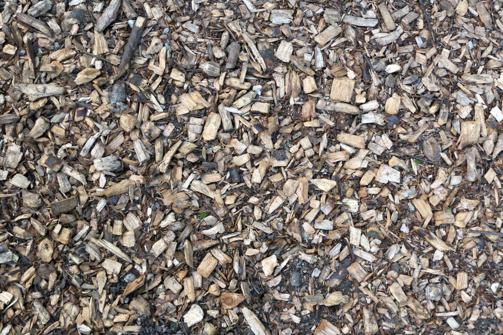 Panasonic Lumix DMC-FZ1000 sample photo. Wood chips, chopped, flooring photography