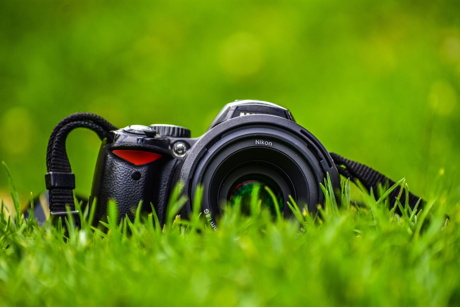 Nikon D3400 sample photo. Camera in plain, camera photography