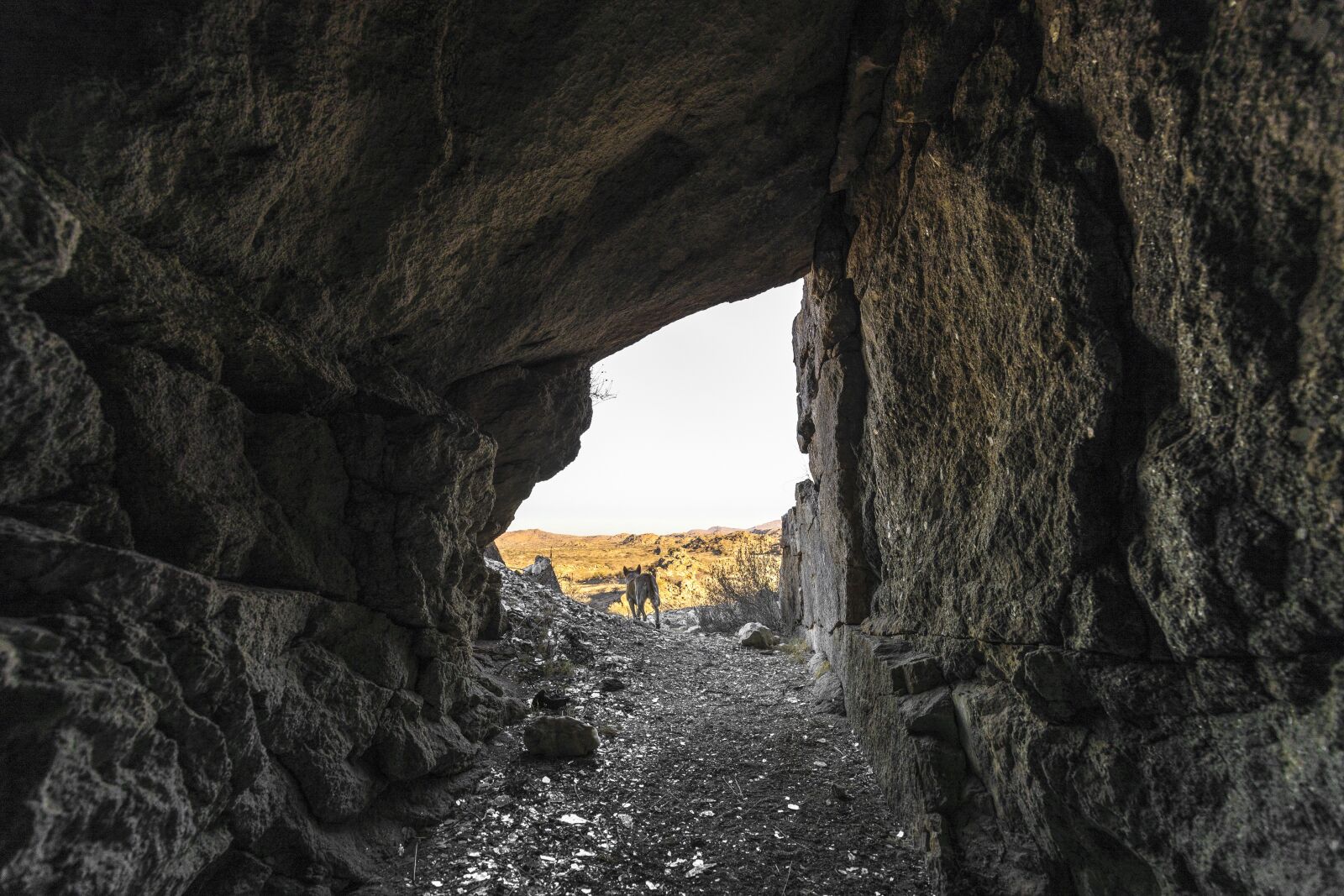 Canon EOS 5D Mark IV + Canon EF 16-35mm F4L IS USM sample photo. Cave, mine, stone photography
