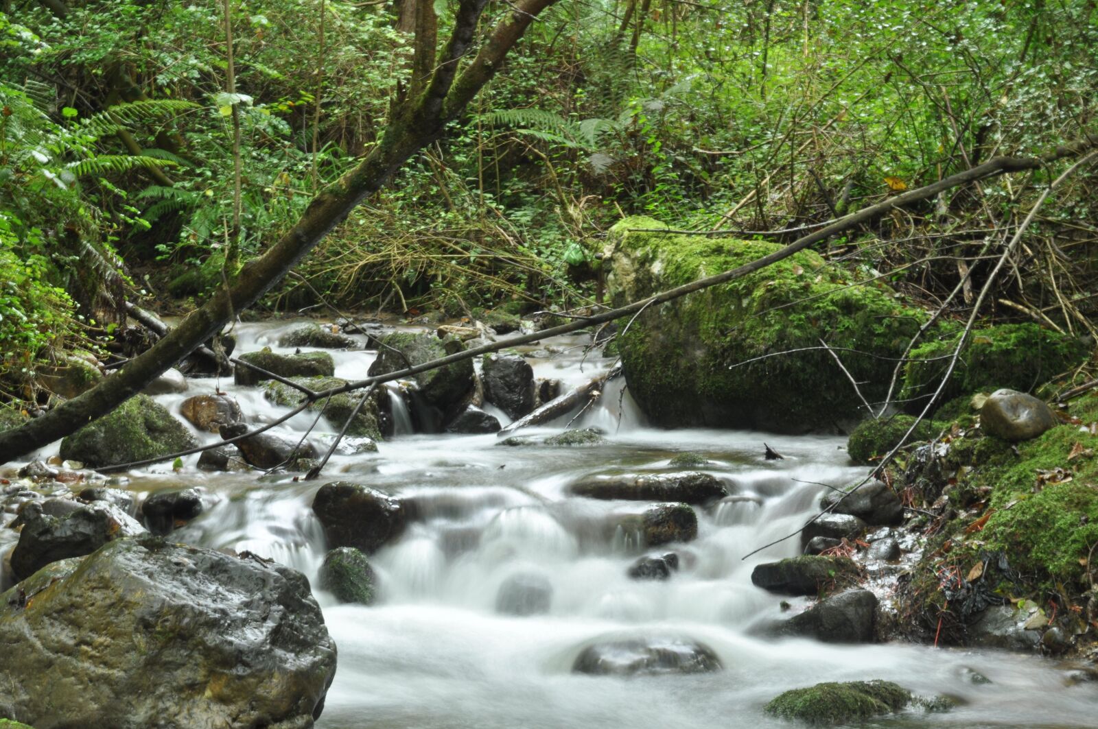 Nikon D90 sample photo. River, morcín, nature photography