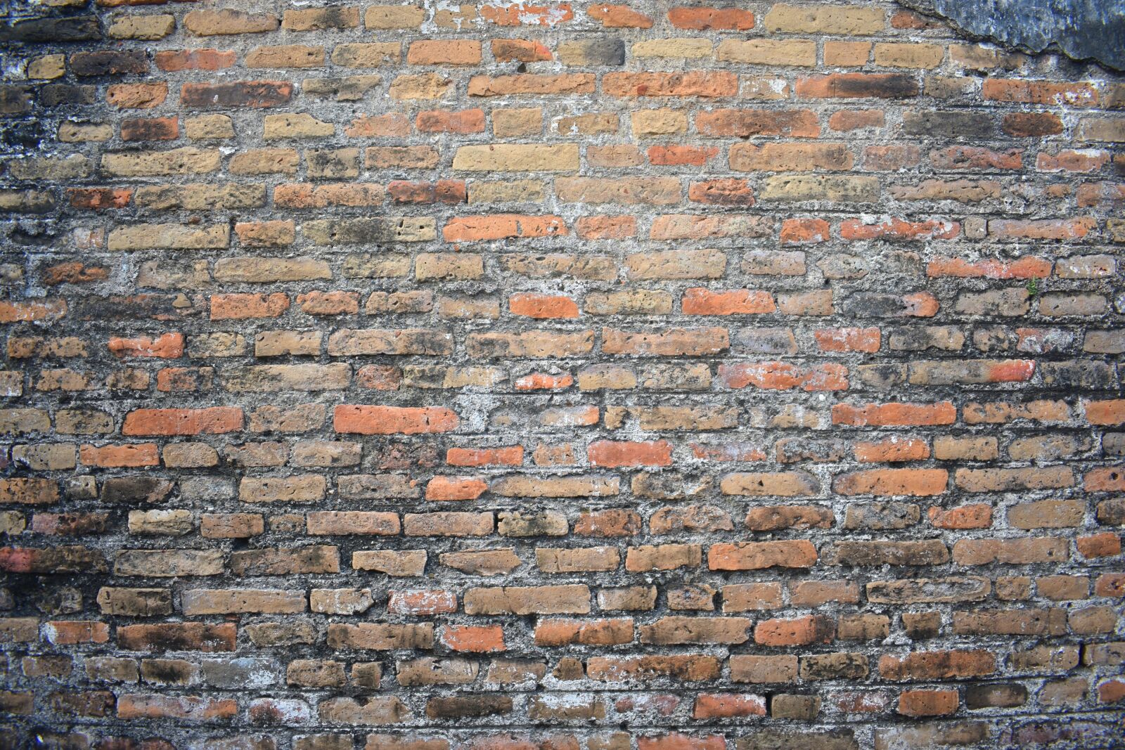 Nikon D3400 sample photo. Wall, vintage, old photography
