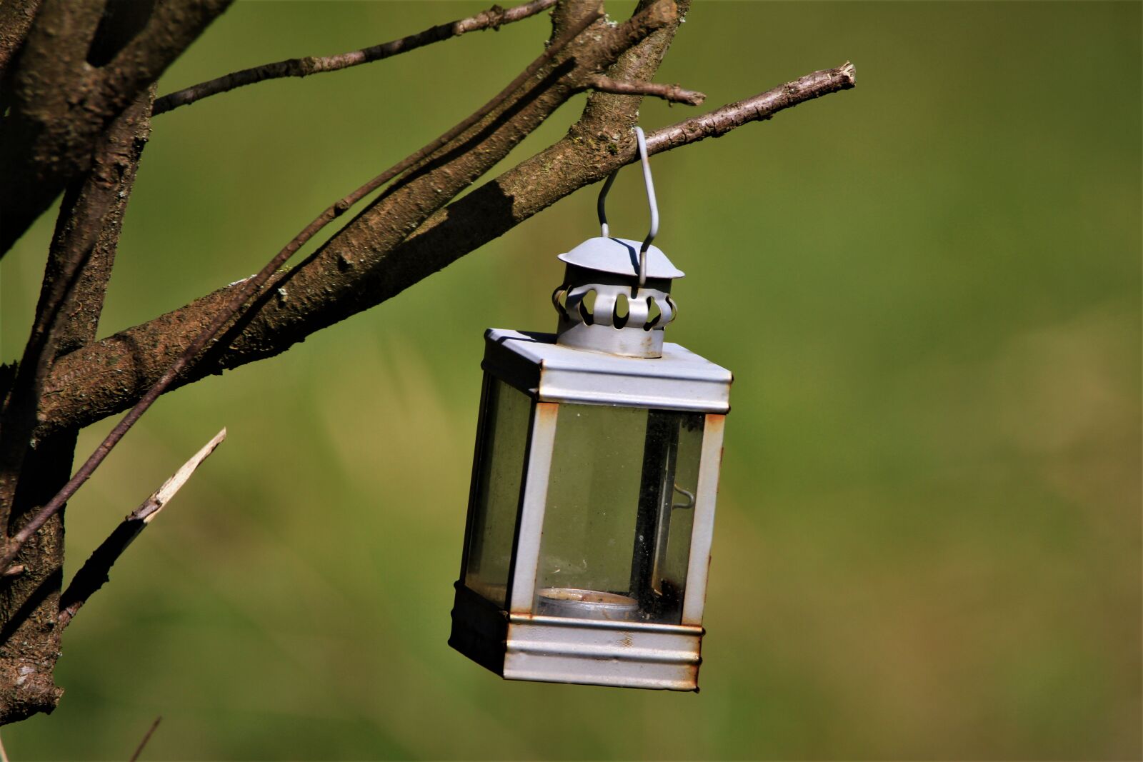 Canon EOS 7D sample photo. Lantern, lamp, light photography