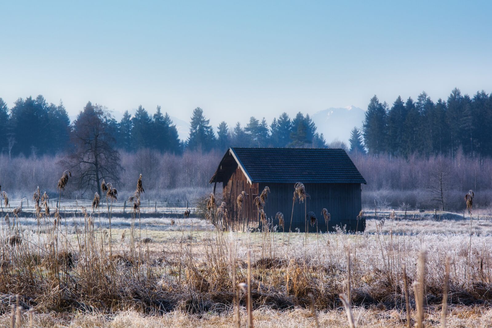 Nikon D7100 sample photo. Hut, barn, autumn photography