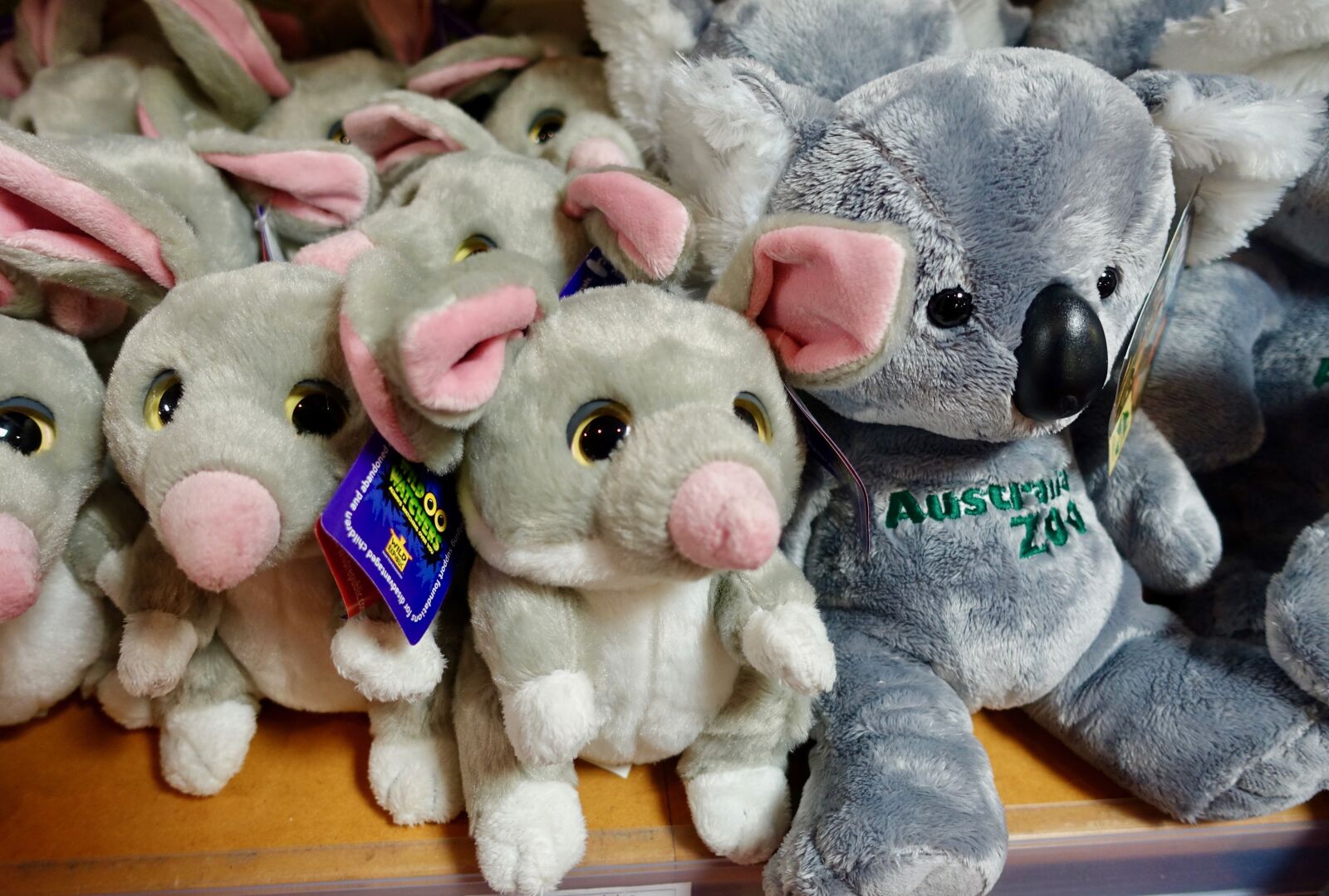 Sony Cyber-shot DSC-RX100 III sample photo. Toys, cuddly, cute photography