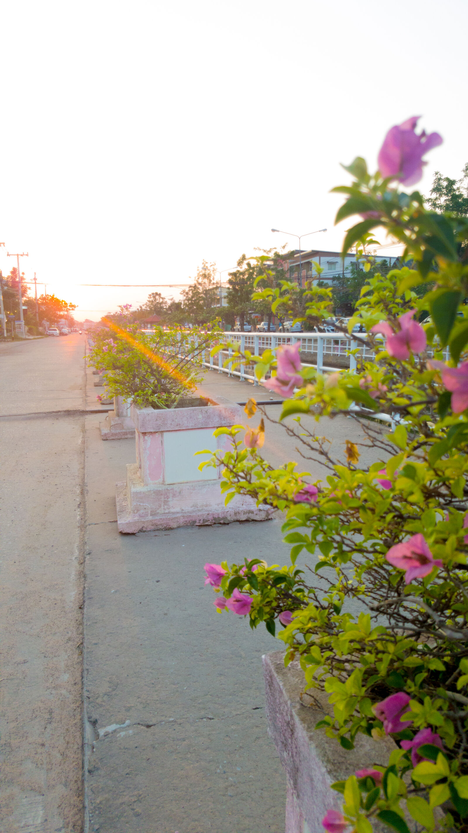 Samsung Galaxy Note5 sample photo. Blue, festoons, bougainvillea, canal photography